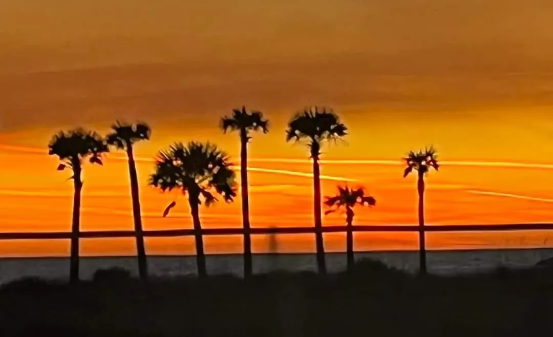 Shores Of Panama 2025 - 1 Bedroom Bunks Sleeps 6, Reserved Parking, Free Fun! Condo Panama City Beach 0*,